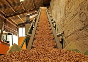 Новый пеллетный завод обошелся Бердянской области в € 5 млн. грн.0