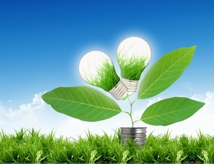 "Зеленые" проекты в Николаевской области получат финансирование более 1 млрд. грн. ##f_price|CURR_SIGN##