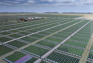 Договор о поставке биотоплива из водорослей заключили Neste Oil и Cellana ##f_price|CURR_SIGN##