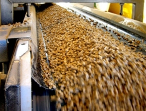 Производство пеллет и брикетов возрастет в Сумской области ##f_price|CURR_SIGN##