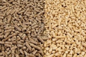 За счет альтернативных источников энергии ЖКХ будут экономить 50% газа ##f_price|CURR_SIGN##