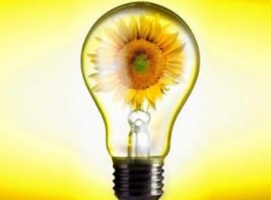 "Зеленые" тарифы в июле не поменяются ##f_price|CURR_SIGN##