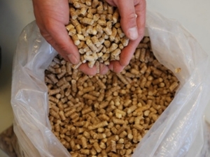 70% твердого биотоплива в Украине экспортируют ##f_price|CURR_SIGN##