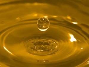 Потребление растительных масел в мире для производства биодизеля уменьшится на 10% ##f_price|CURR_SIGN##