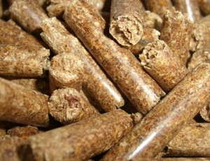 Производство пеллет стоимостью $ 115 млн поставит Green Circle Bio Energy ##f_price|CURR_SIGN##