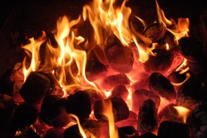 Лигниновые  брикеты  грн.1900