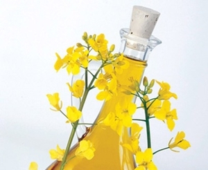 Предлагаем масло рапсовое нерафинированное грн.730