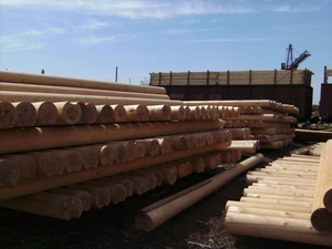 Оцилиндрованное бревно из Ангарского леса грн.0