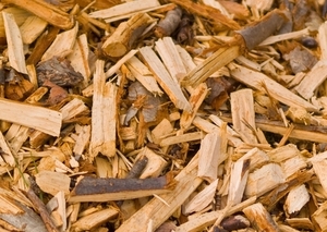 Польские власти ужесточили контроль происхождения сжигаемой биомассы ##f_price|CURR_SIGN##