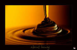 Продам масло техническое из отходов подсолнечника грн.0