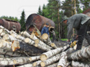 Традиционные и современные технологии производства древесного угля ##f_price|CURR_SIGN##