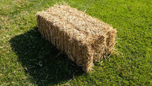 Продам тюки квадратные  грн.10