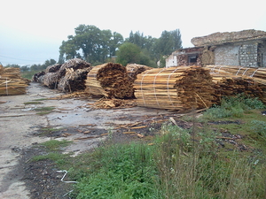 Дрова Сосна горбыль 600М3 грн.50