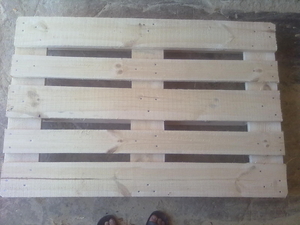 Продам європіддони грн.35