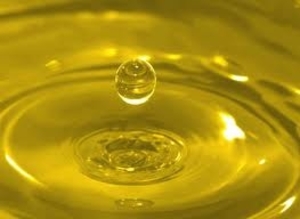 Фирма производит и  продает биодизель грн.1100