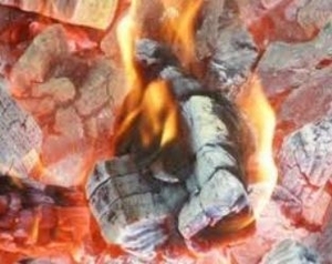 Продаем Древесный уголь по хорошей цене оптом грн.0