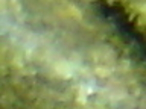 Производитель предлагает пеллету из соломы и люцерны грн.650