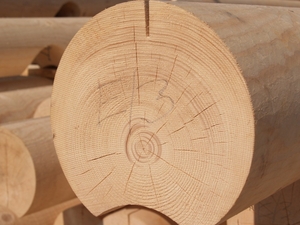 Продам Оцилиндрованное бревно грн.1320