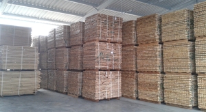 Куплю дубовую заготовку свежего распила грн.1000