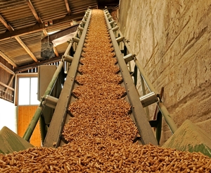 Спрос на пеллеты в Польше резко сократился – украинцы вынуждены осваивать внутренний рынок грн.0