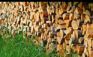 Дрова яблони грн.340