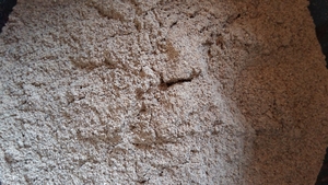 Продаю дробленную скорлупу грецкого ореха грн.0