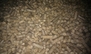 Производство и продажа топливных пеллетов из хвойных пород древесины грн.1250