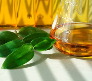 Предлогаем вашему вниманию рапсовое масло грн.0