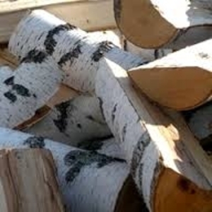 Колоті берези, дуба та граба з подарунком. грн.0