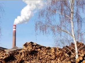 480,000 тонн украинской древесной щепы будет экспортировано в Италию ##f_price|CURR_SIGN##