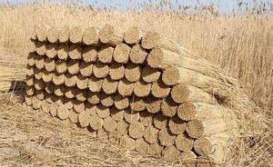 Продам камыш в снопах, дробленый камыш, маты, евросноп грн.15
