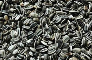 Экспортная пошлина на семена подсолнечника отменяться не будет  ##f_price|CURR_SIGN##