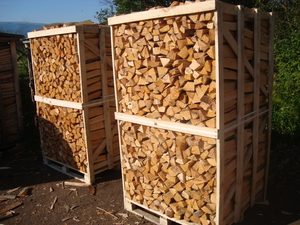 Дрова бук в пачках грн.65