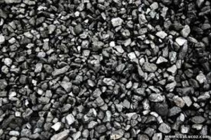 Продам уголь Антрацит-Орешек грн.800