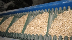 Производство и продажа пеллет, 8мм, 4500 руб./тн грн.4500