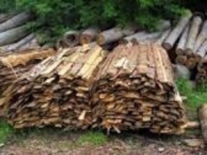 Дрова сосновые грн.300