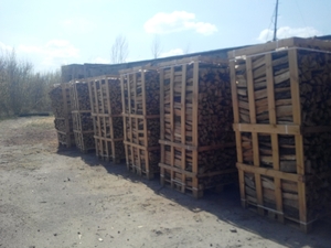 Дрова колотые от производителя грн.55