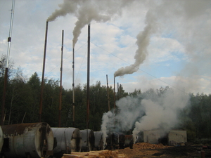 Продажа древесного березового угля оптом грн.0