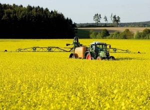 Рост рынка рапса в странах ЕС в сезоне 2013/2014 ##f_price|CURR_SIGN##