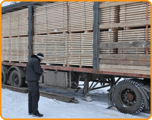 Дошка обрізна / брус за цінами від виробника грн.0