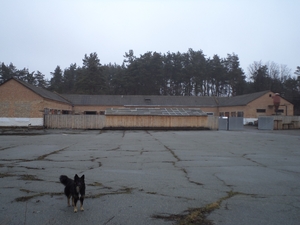 Продам деревообрабатывающий комплекс грн.40000