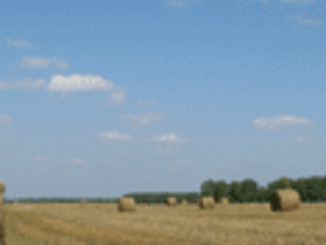 Куплю пеллету из соломы грн.0