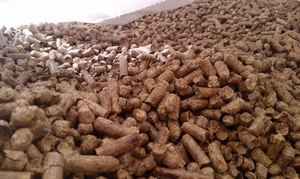 Производим древесные пеллеты - 6 мм грн.800