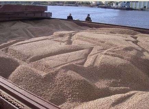 Во II-квартале 2014 цена на индустриальные пеллеты в Европе возрастет незначительно грн.0