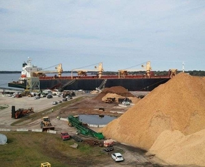 К концу 2014 года стоимость трансатлантического фрахта судов под перевозку пеллет составит $ 185/т. грн.0