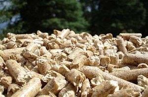 Европа увеличит потребление твердого биотоплива до 50-80 млн. тонн к 2020 году ##f_price|CURR_SIGN##