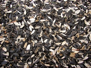 Куплю пеллеты гранулы из лузги подсолнечника грн.1450