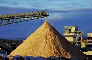 Новая схема сертификации биомассы действует на Европейском рынке с марта 2014 года ##f_price|CURR_SIGN##