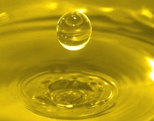 Требуется рапсовое масло грн.0