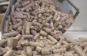 Rentech Inc.  в 2014 планирует увеличить производство древесных пеллет еще на 550 тыс. тонн ##f_price|CURR_SIGN##